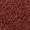TOHO 11/0 Round Beads SEED-XTR11-PF2113-2