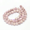 Round Natural Kunzite Beads Strands G-K068-28-10mm-2