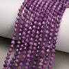 Natural Lepidolite/Purple Mica Stone Beads Strands GG-CBAA9B4-A15-01-1