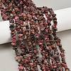 Natural Rhodonite Beads Strands G-F328-23-5