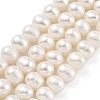 Natural Cultured Freshwater Pearl Beads Strands PEAR-C003-18C-2