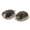 Natural Labradorite Faceted Pendants G-Q169-01G-03-2