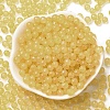 Luminous Glow in the Dark Transparent Glass Round Beads GLAA-F124-B05-4