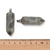 Natural Labradorite Pendants GG-CBAA0EE-02P-02-2