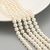 Glass Pearl Beads Strands HY-G002-01C-02-2