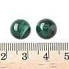 Natural Malachite Cabochons G-S398-01A-02-3