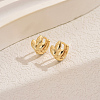 Simple Geometric Brass Hoop Earrings CV3408-5-1