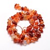 Dyed Natural Carnelian Chip Beads Strands G-E271-105-3