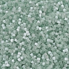 MIYUKI Delica Beads SEED-X0054-DB0829-3