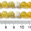 Dyed & Heated Natural Fire Crackle Agate Beads Strands G-P539-B01-18-5