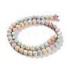 Natural Rainbow Alashan Agate Beads Strands G-NH0022-B01-01-3
