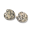 Natural Dalmatian Jasper Conch Display Decorations DJEW-D303-01N-2