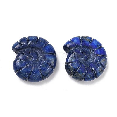 Natural Lapis Lazuli Conch Display Decorations DJEW-D303-01B-1