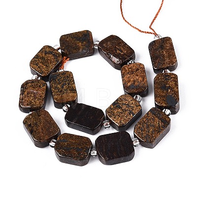 Natural Bronzite Beads Strands G-C098-A39-01-1