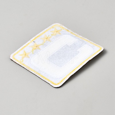 Computerized Embroidery Cloth Iron on/Sew on Patches PATC-WH0006-91B-1