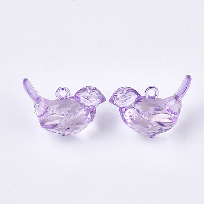 Transparent Acrylic Pendants TACR-S133-028-1