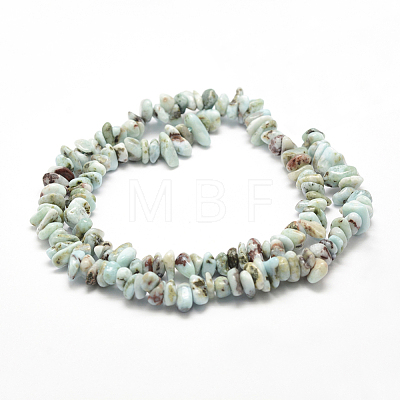 Natural Larimar Beads Strands X-G-P302-03-1