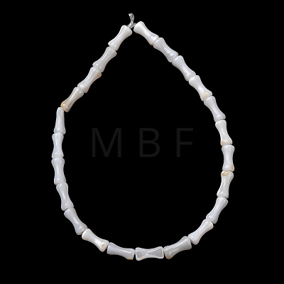 Natural Freshwater Shell Beads Strands SH-CBA2978-13-1