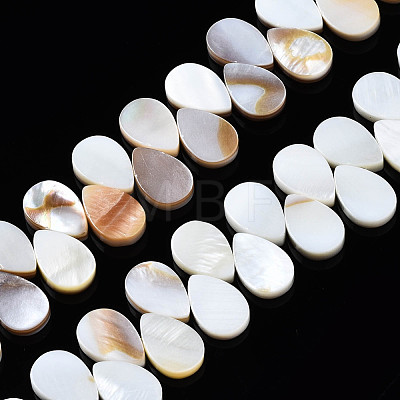 Natural Freshwater Shell Beads Strands SHEL-Q024-007-1