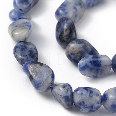 Natural Blue Spot Jasper Beads Strands G-B039-02B-1