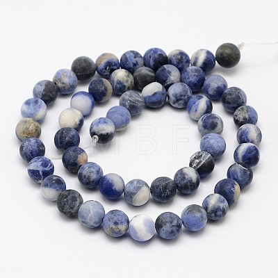 Natural Sodalite Beads Strands X-G-D691-8mm-1