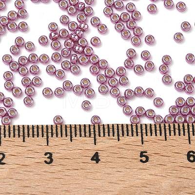 MIYUKI Round Rocailles Beads X-SEED-G007-RR4218-1