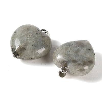 Natural Labradorite Pendants GG-CBAA0EE-04P-05-1