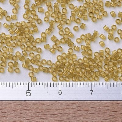 MIYUKI Delica Beads Small SEED-JP0008-DBS0118-1