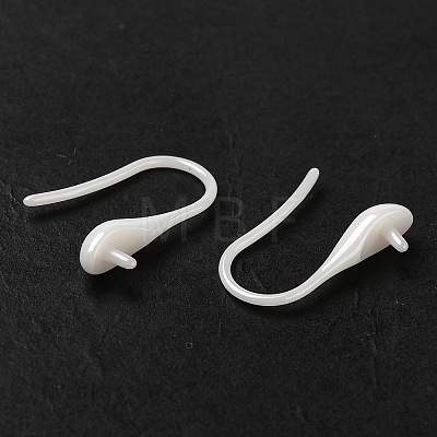 Hypoallergenic Bioceramics Zirconia Ceramic Ear Hooks EJEW-F340-10-1