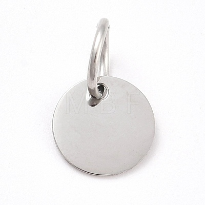 Non-Tarnish 304 Stainless Steel Pendants STAS-M297-02P-1