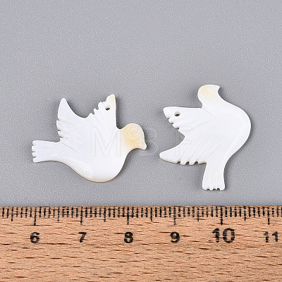 Natural Freshwater Shell Carved Pendants BSHE-T014-30-1