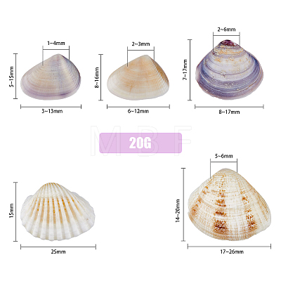 5 Styles Shell Beads SHEL-FH0001-22-1