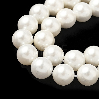 Shell Pearl Beads Strands BSHE-K015-10mm-03-1