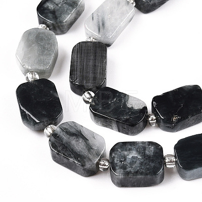 Natural Eagle Eye Stone Beads Strands G-C098-A16-01-1