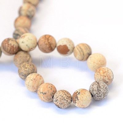 Frosted Natural Picture Jasper Round Bead Strands X-G-E334-6mm-26-1