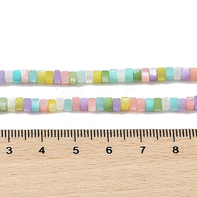 Natural Trochid Shell/Trochus Shell Beads Strands BSHE-H018-04-1