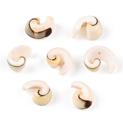 Natural Spiral Shell Beads Strands SSHEL-G024-02-1
