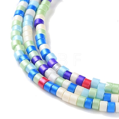 Handmade Czech Lampwork Beads Strands LAMP-L078-008M-1