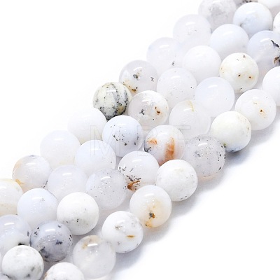 Natural White African Opal Beads Strands G-P457-C03-03-1