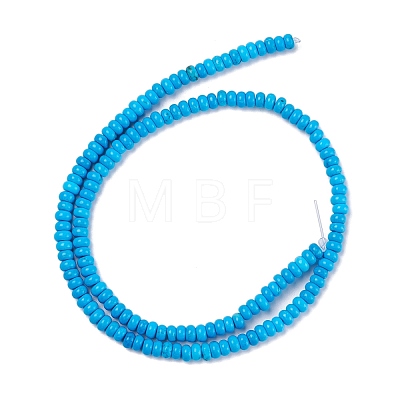 Natural Magnesite Beads Strands TURQ-Z002-02A-1