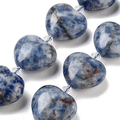 Natural Blue Spot Jasper Beads Strands G-C150-A27-01-1