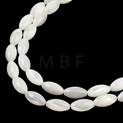 Natural Trochus Shell Beads Strands BSHE-G036-06B-1