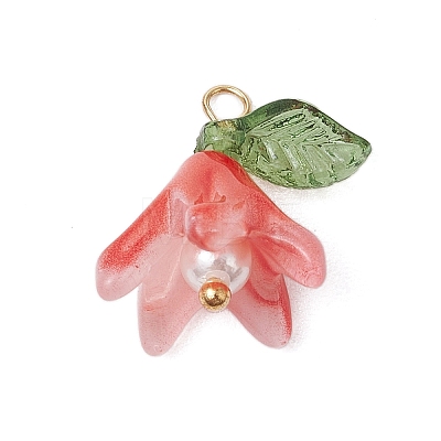 Handmade Lampwork Pendants PALLOY-TA00184-1