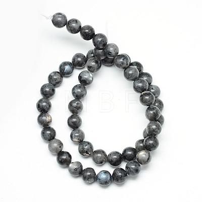 Natural Larvikite Beads Strands G-R345-12mm-33-1