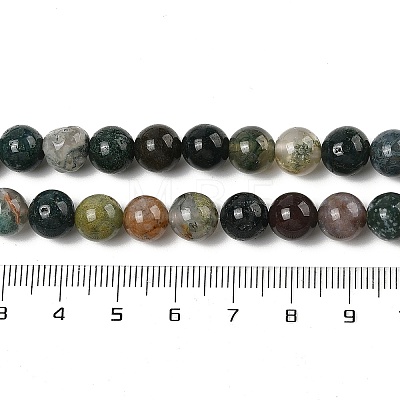 Natural Indian Agate Beads Strands G-A248-A01-02-1