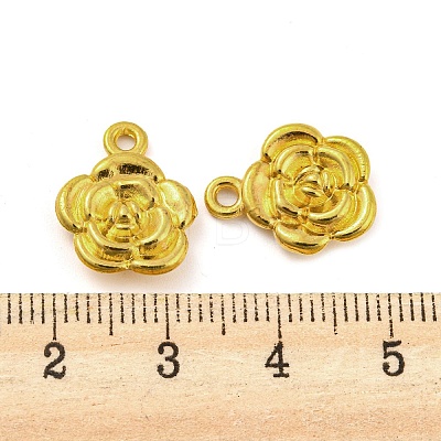 Alloy Pendants FIND-G065-15G-1