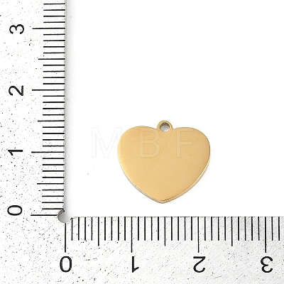 304 Stainless Steel Charms STAS-I325-136C-G-1