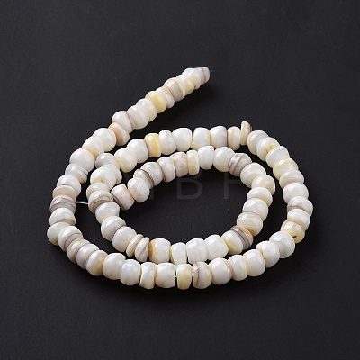 Natural Cultured Freshwater Shell Beads Strands SHEL-F002-01D-1