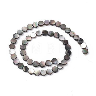 Natural Black Lip Shell Beads SHEL-M018-17-1