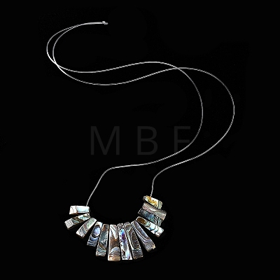 Rectangle Natural Abalone Shell/Paua ShellGraduated Beads Strands SSHEL-P002-05B-1